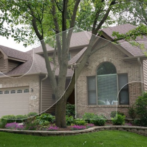 Lombard-Dual-Brown-Roof